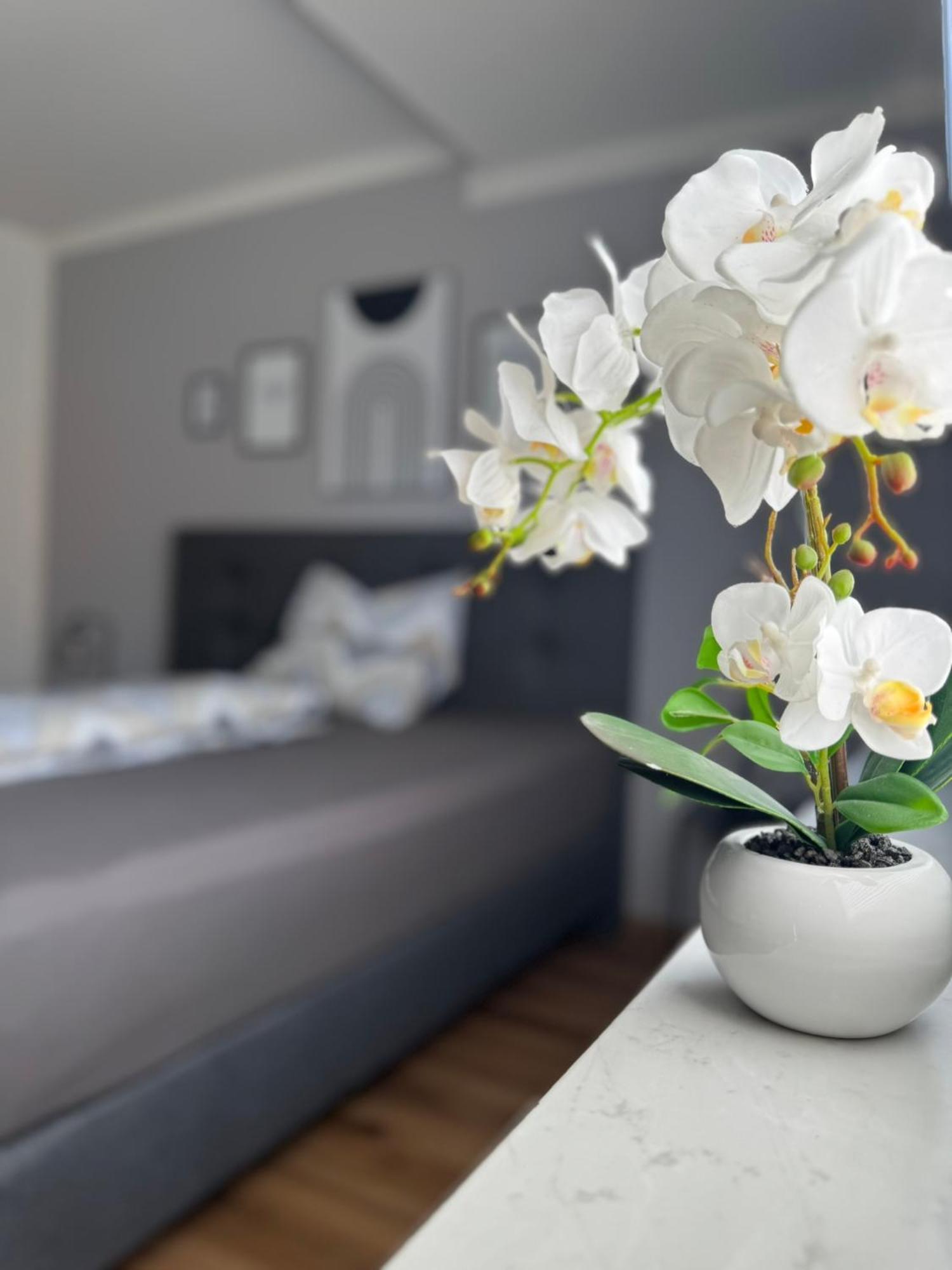 Ferienhaus Hunsrueckliebe Liederbach  Buitenkant foto